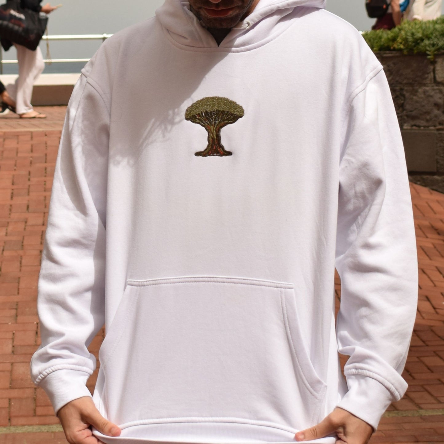 Sudadera Drago (Bordado, Unisex)