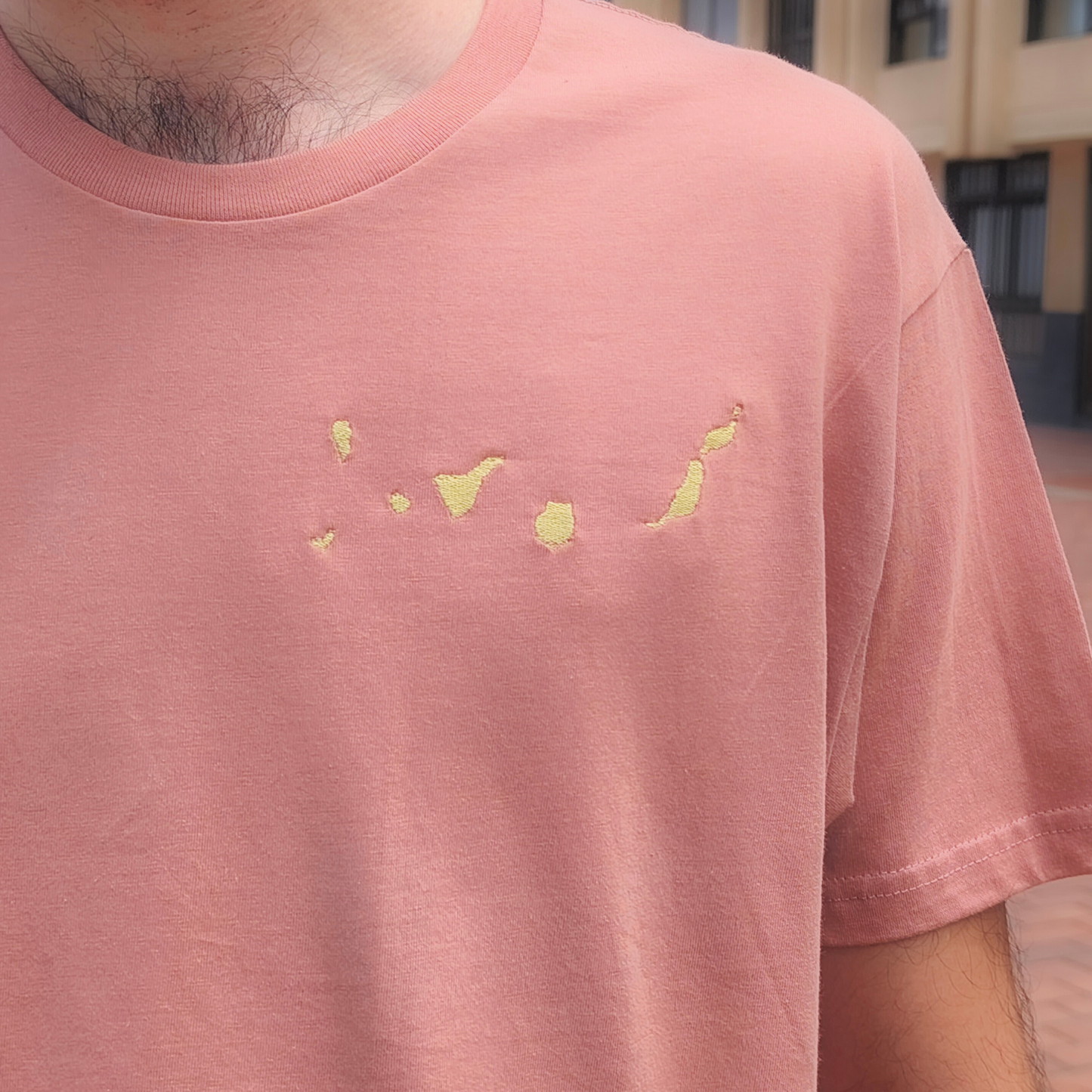 Islas Canarias Camiseta Bordada (Terracota)